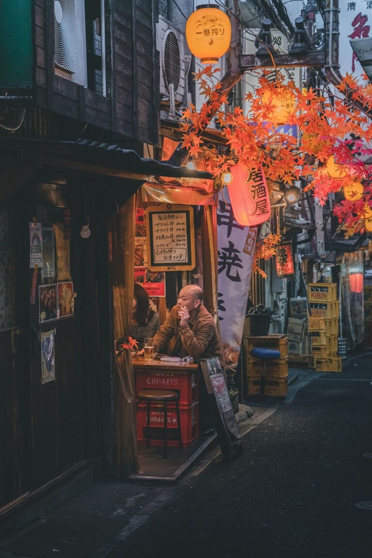 street, city, japan, dusk, shinjuku, japan, japan, japan, japan, japan