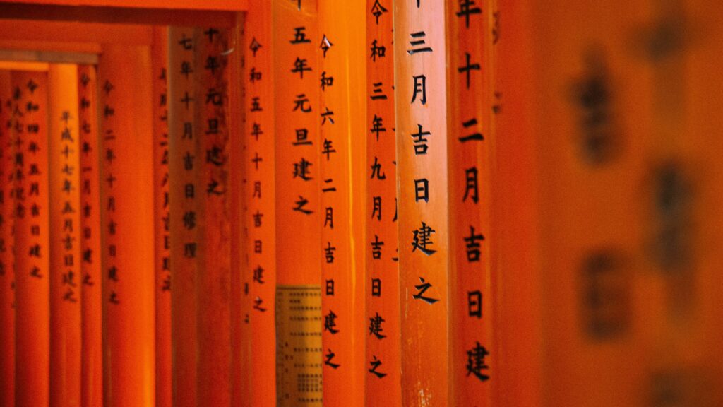 pexels photo 32284334 32284334 1